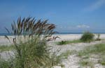 Strand (foto: Nils-Arvid Andersson)